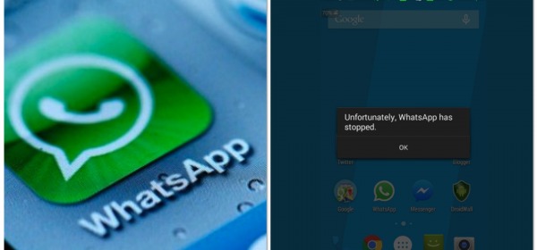 WhatsApp in crash