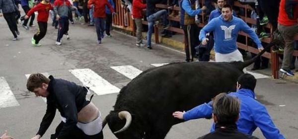 Salamanca, il toro incorna e ferisce gravemente un ventenne